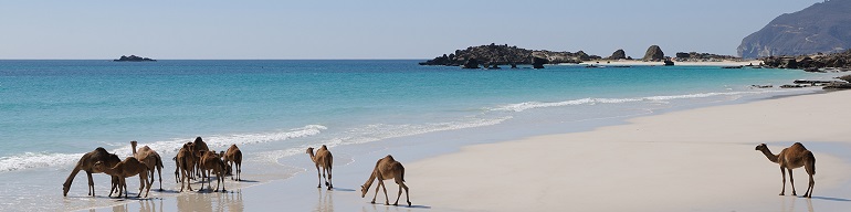 Aluguel de carros La, Oman